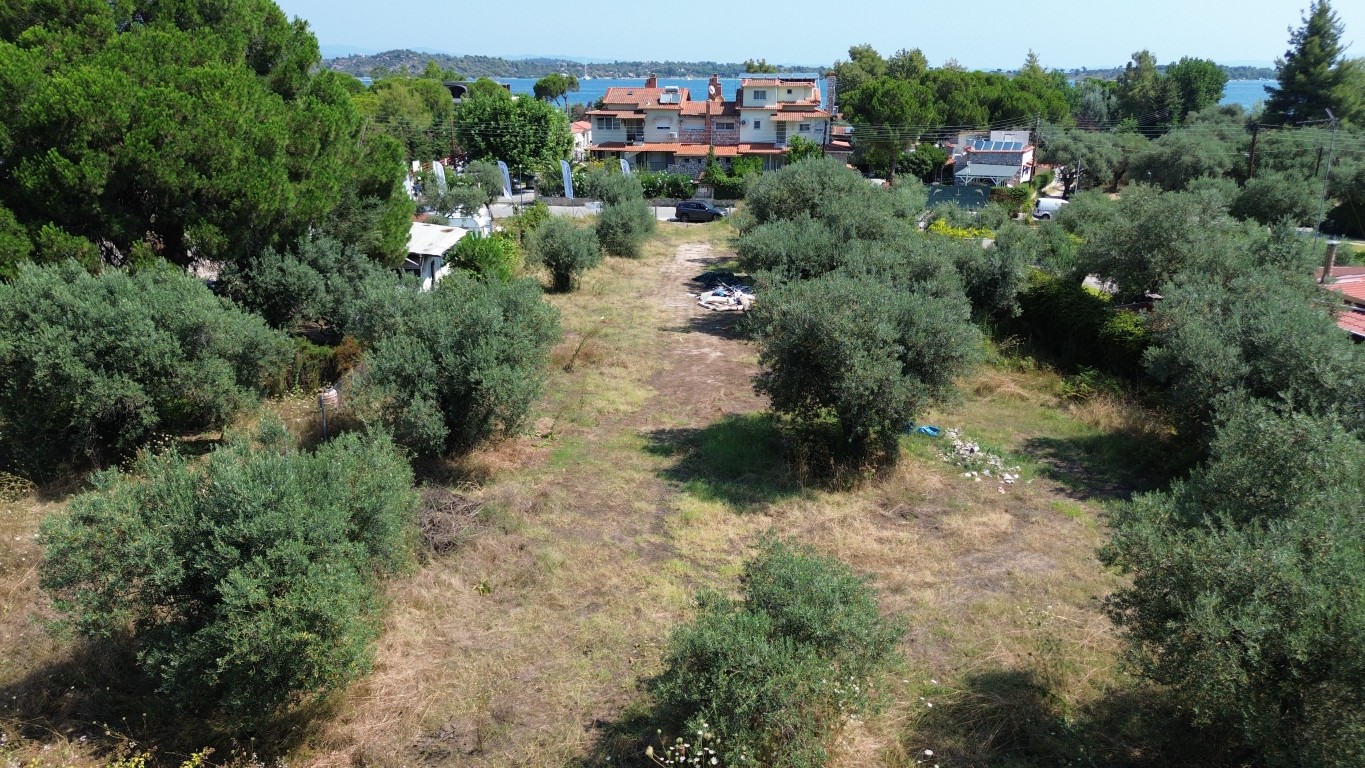 DJI_0402 Medium.jpg